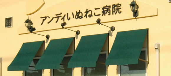 アンディいぬねこ病院 マイクロチップ